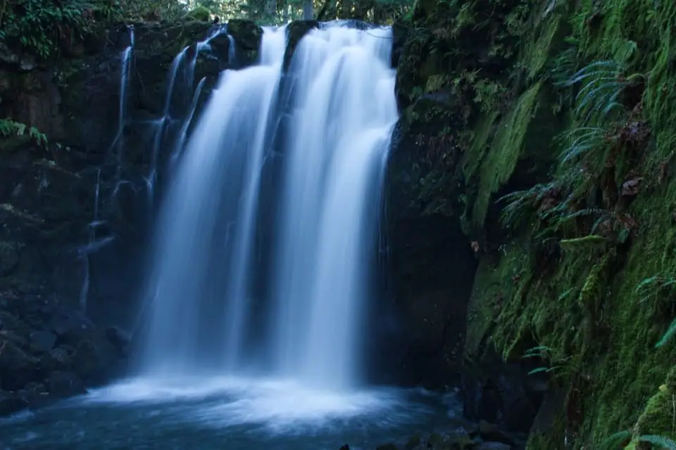 Cascada en medio de la selva